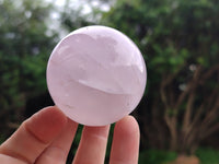 Polished Blue Girasol Rose Quartz Spheres x 5 From Madagascar