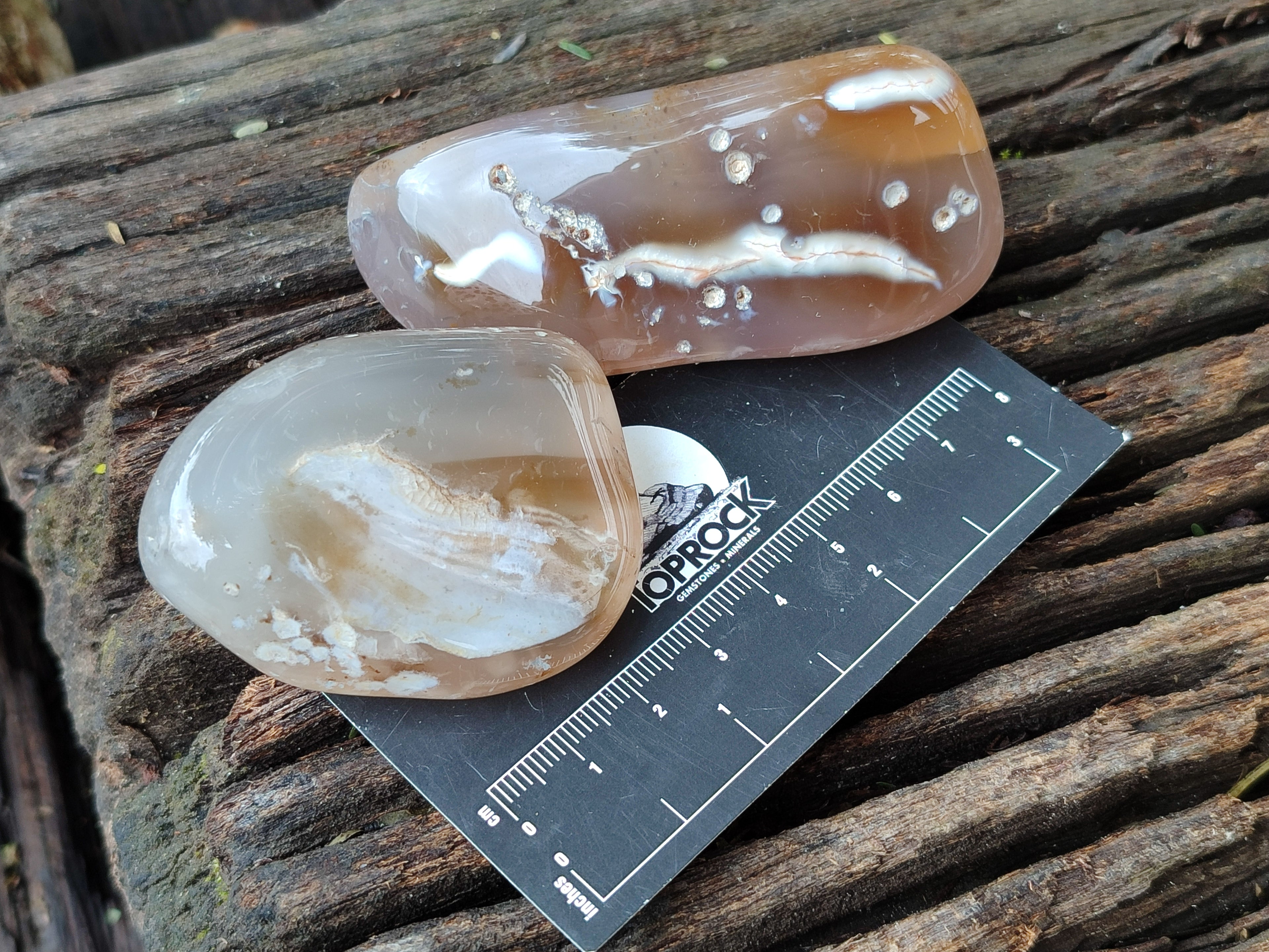 Polished Banded Free Forms x 24 From Madagascar - Toprock Gemstones and Minerals 