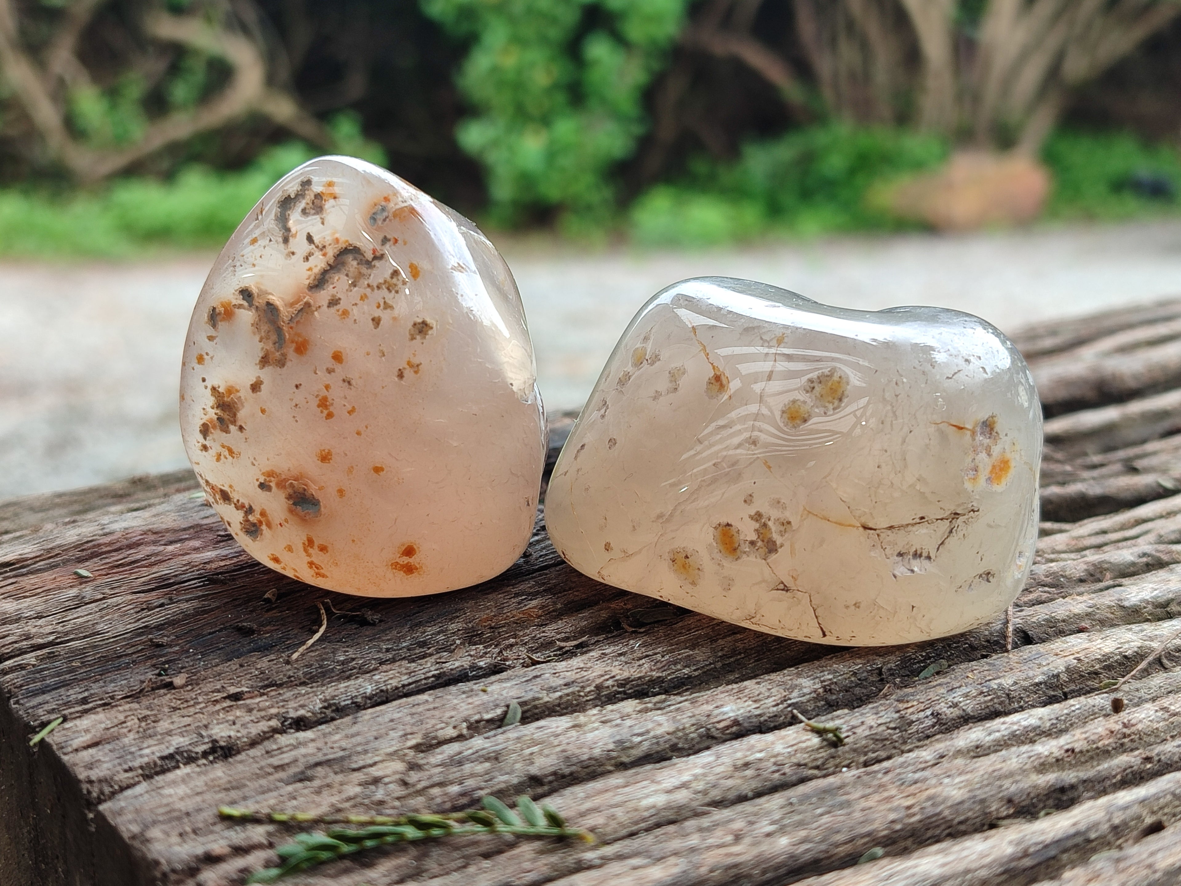 Polished Banded Free Forms x 24 From Madagascar - Toprock Gemstones and Minerals 