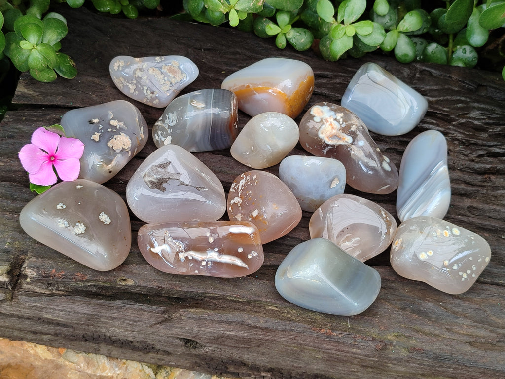 Polished Banded Free Forms x 24 From Madagascar - Toprock Gemstones and Minerals 