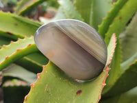 Polished Banded Free Forms x 24 From Madagascar