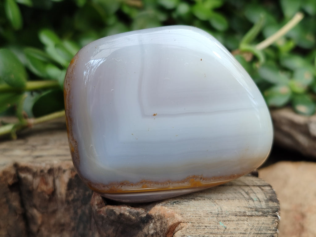 Polished Banded Free Forms x 24 From Madagascar - Toprock Gemstones and Minerals 