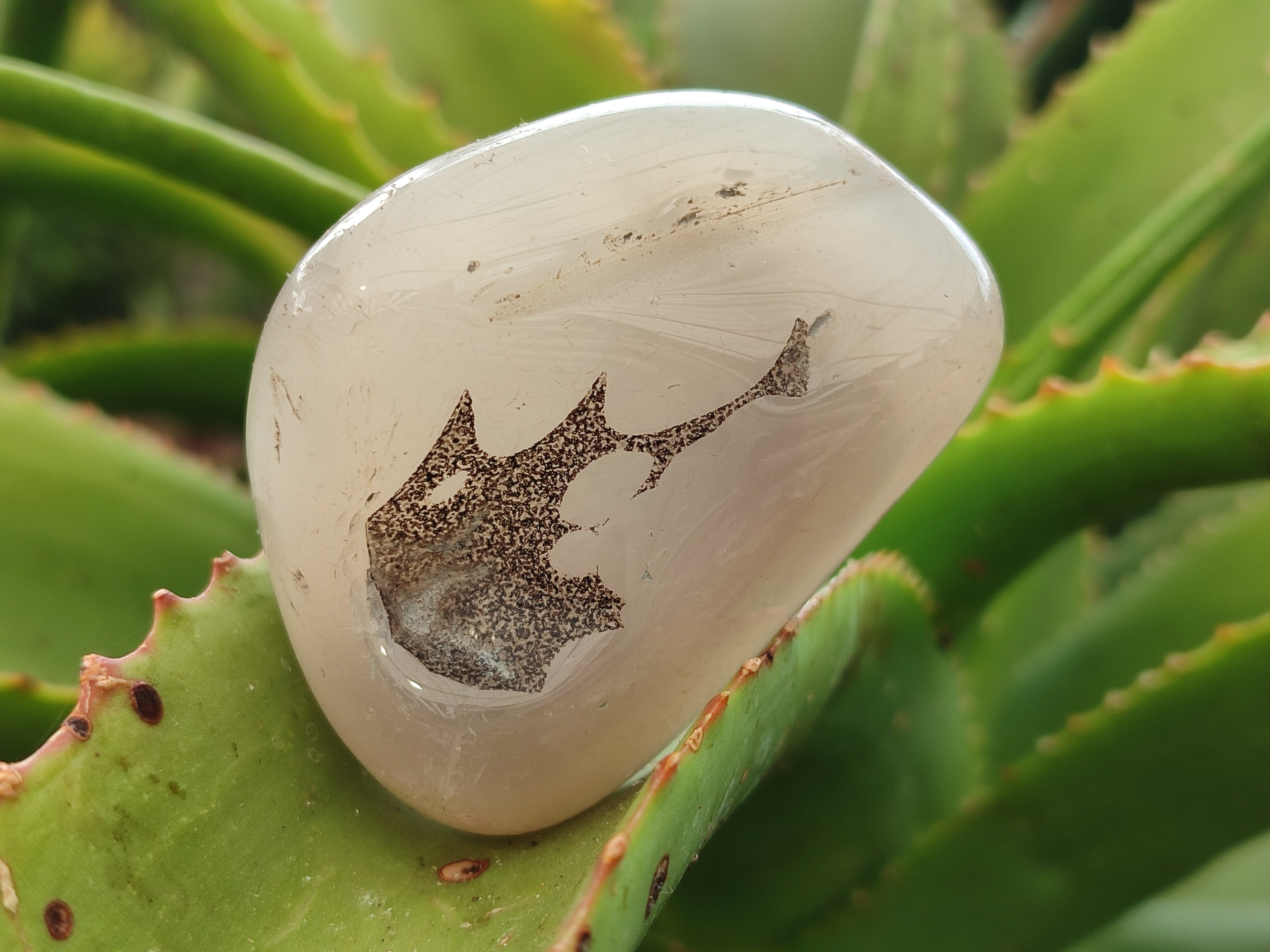 Polished Banded Free Forms x 24 From Madagascar - Toprock Gemstones and Minerals 