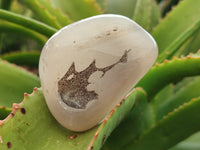 Polished Banded Free Forms x 24 From Madagascar