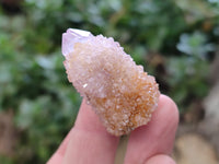 Natural Ametrine Spirit Quartz Clusters x 35 From Boekenhouthoek, South Africa