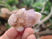 Natural Ametrine Spirit Quartz Clusters x 35 From Boekenhouthoek, South Africa