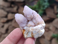 Natural Ametrine Spirit Quartz Clusters x 35 From Boekenhouthoek, South Africa