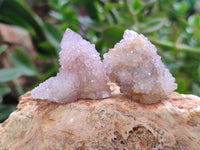 Natural Ametrine Spirit Quartz Clusters x 35 From Boekenhouthoek, South Africa