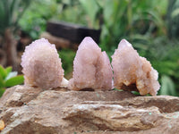 Natural Ametrine Spirit Quartz Clusters x 35 From Boekenhouthoek, South Africa