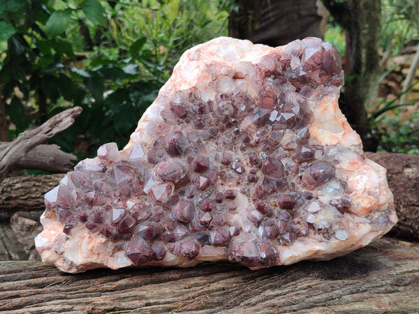 Natural Hematoid Quartz Cluster x 1 From Zambia