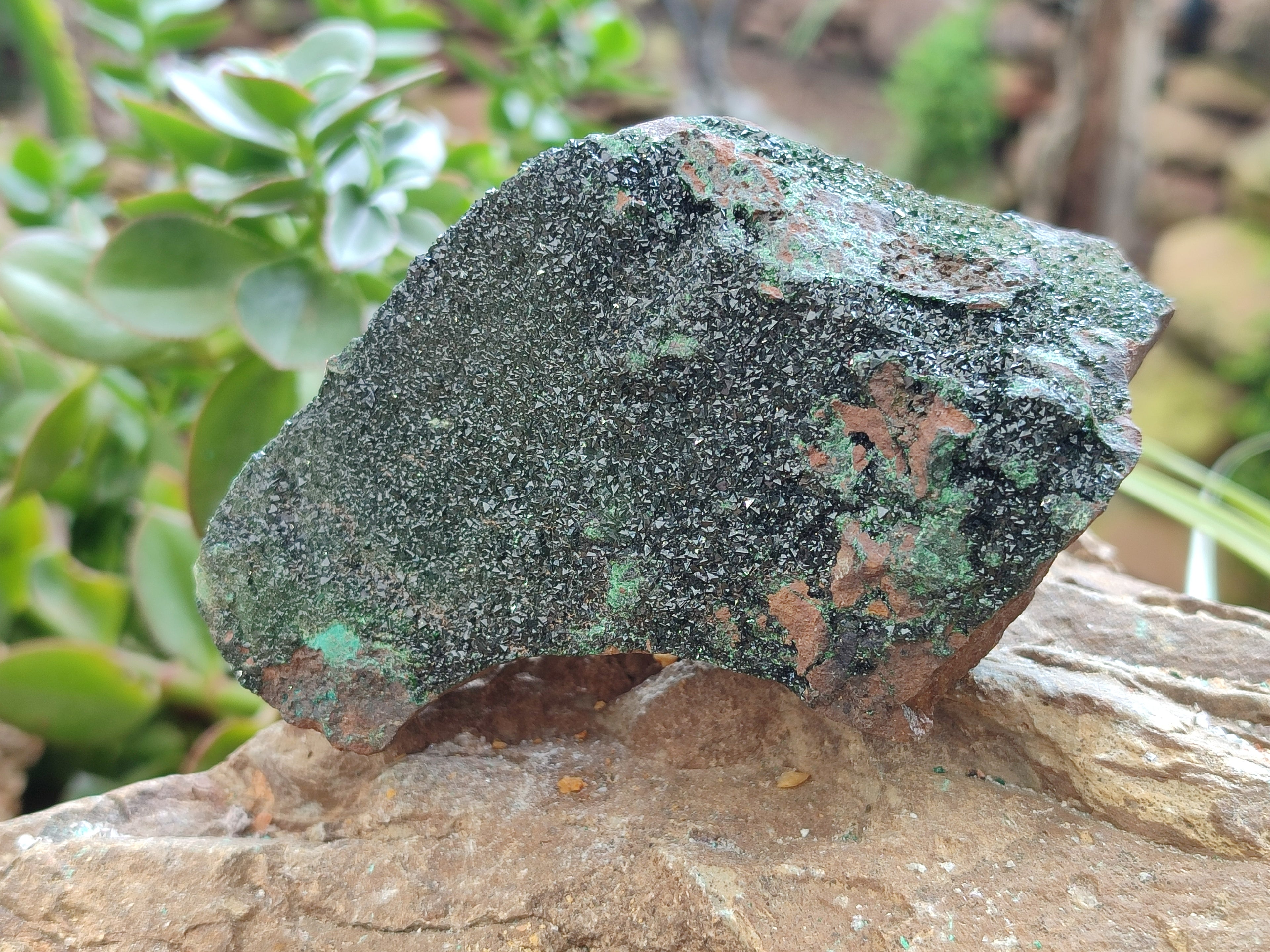 Natural Libethenite Crystals On Dolomite Matrix Specimens x 4 From Shituru, Congo - Toprock Gemstones and Minerals 