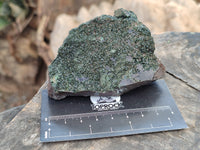 Natural Libethenite Crystals On Dolomite Matrix Specimens x 4 From Shituru, Congo