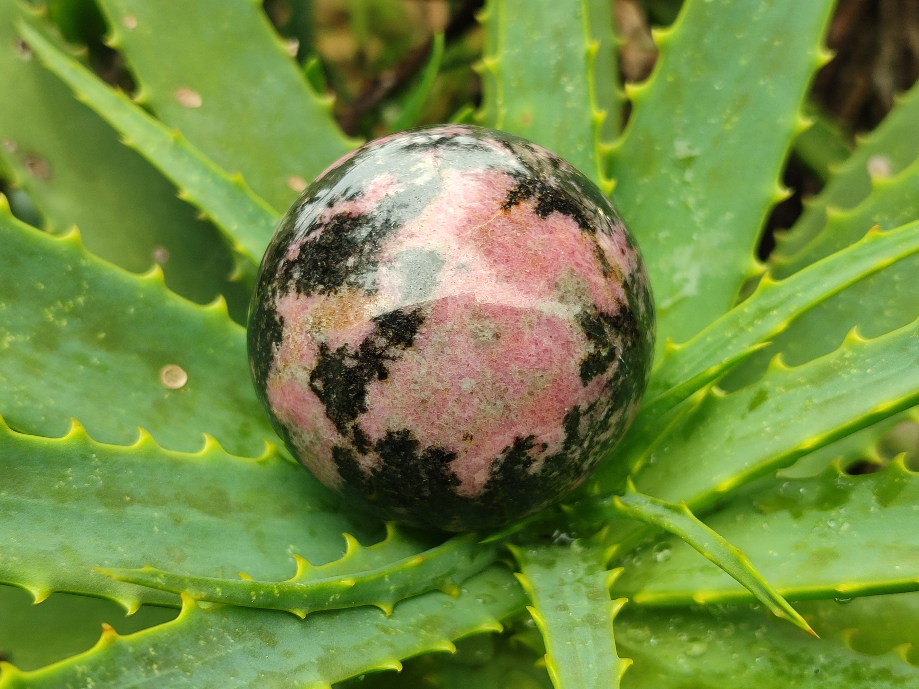 Polished Rhodonite Spheres x 4 From Rhusinga, Zimbabwe - Toprock Gemstones and Minerals 