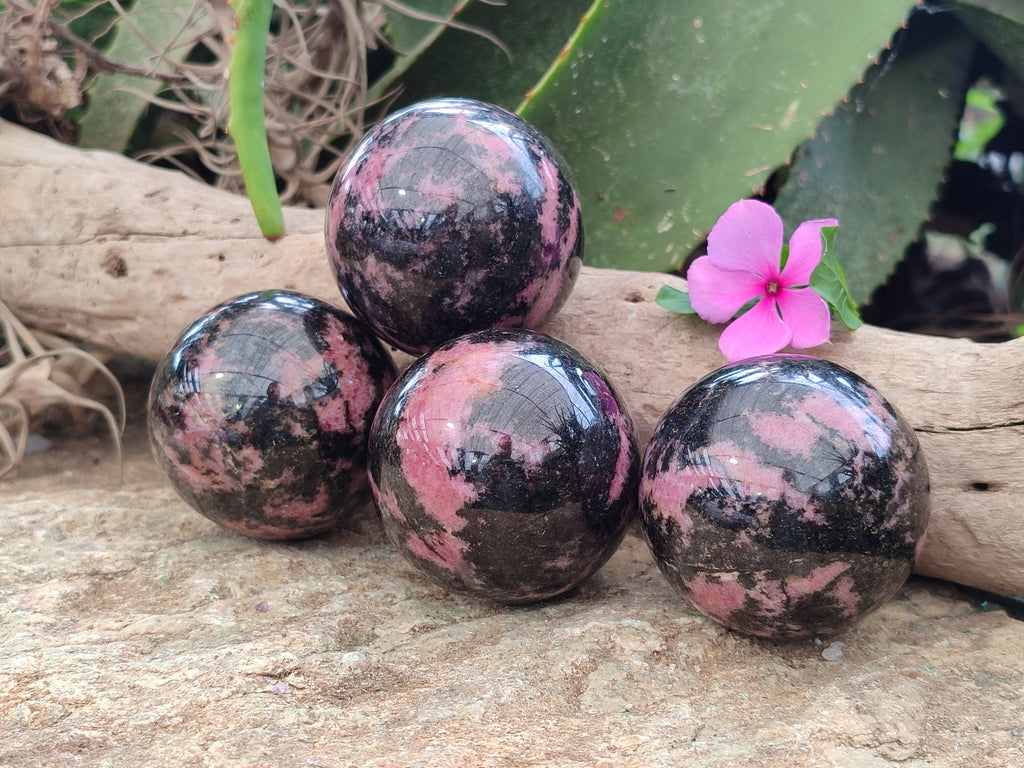 Polished Rhodonite Spheres x 4 From Rhusinga, Zimbabwe - Toprock Gemstones and Minerals 