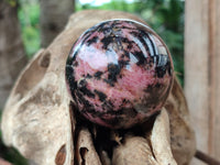 Polished Rhodonite Spheres x 4 From Rhusinga, Zimbabwe