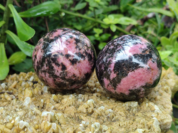 Polished Rhodonite Spheres x 4 From Rhusinga, Zimbabwe