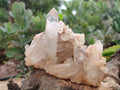 Natural Quartz Clusters x 4 From Madagascar - Toprock Gemstones and Minerals 