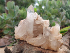 Natural Quartz Clusters x 4 From Madagascar - Toprock Gemstones and Minerals 