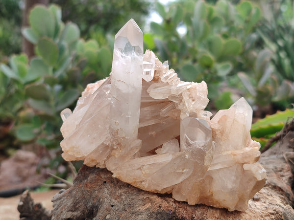 Natural Quartz Clusters x 4 From Madagascar