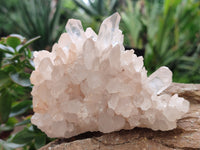 Natural Quartz Clusters x 4 From Madagascar