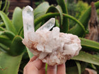 Natural Quartz Clusters x 4 From Madagascar - Toprock Gemstones and Minerals 