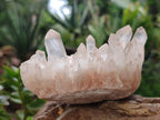 Natural Quartz Clusters x 4 From Madagascar - Toprock Gemstones and Minerals 