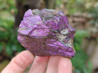 Natural Metallic Purpurite Cobbed Specimens x 6 From Erongo, Namibia