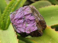 Natural Metallic Purpurite Cobbed Specimens x 6 From Erongo, Namibia