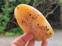 Polished Dendritic Agate Standing Free Forms x 5 From Madagascar