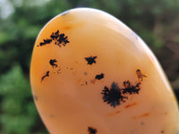 Polished Dendritic Agate Standing Free Forms x 5 From Madagascar