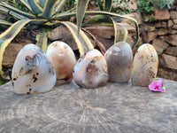 Polished Dendritic Agate Standing Free Forms x 5 From Madagascar