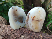 Polished Dendritic Agate Standing Free Forms x 5 From Madagascar