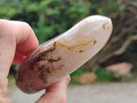 Polished Dendritic Agate Standing Free Forms x 5 From Madagascar