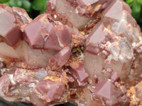 Natural Red Hematoid Quartz Cluster x 1 From Karoi, Zimbabwe