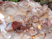 Natural Red Hematoid Quartz Cluster x 1 From Karoi, Zimbabwe