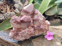 Natural Red Hematoid Quartz Cluster x 1 From Karoi, Zimbabwe