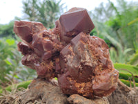 Natural Red Hematoid Quartz Cluster x 1 From Karoi, Zimbabwe