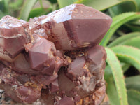 Natural Red Hematoid Quartz Cluster x 1 From Karoi, Zimbabwe