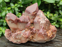 Natural Red Hematoid Quartz Cluster x 1 From Karoi, Zimbabwe