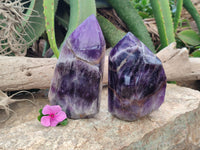 Polished Chevron Amethyst Points x 2 From Zambia