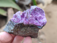 Natural Stichtite Cobbed Specimens x 24 From Barberton, South Africa