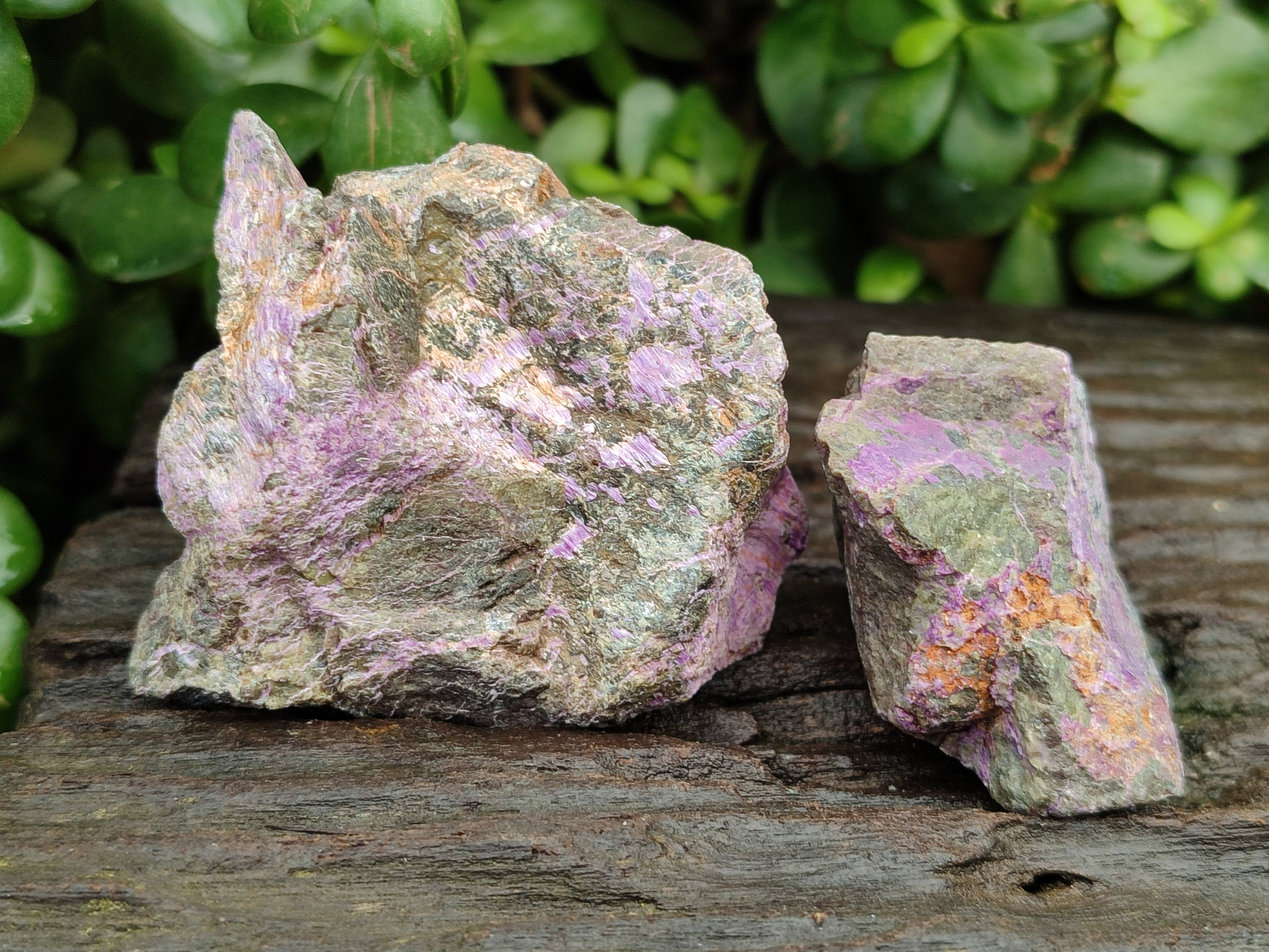 Natural Stichtite Cobbed Specimens x 24 From Barberton, South Africa - Toprock Gemstones and Minerals 