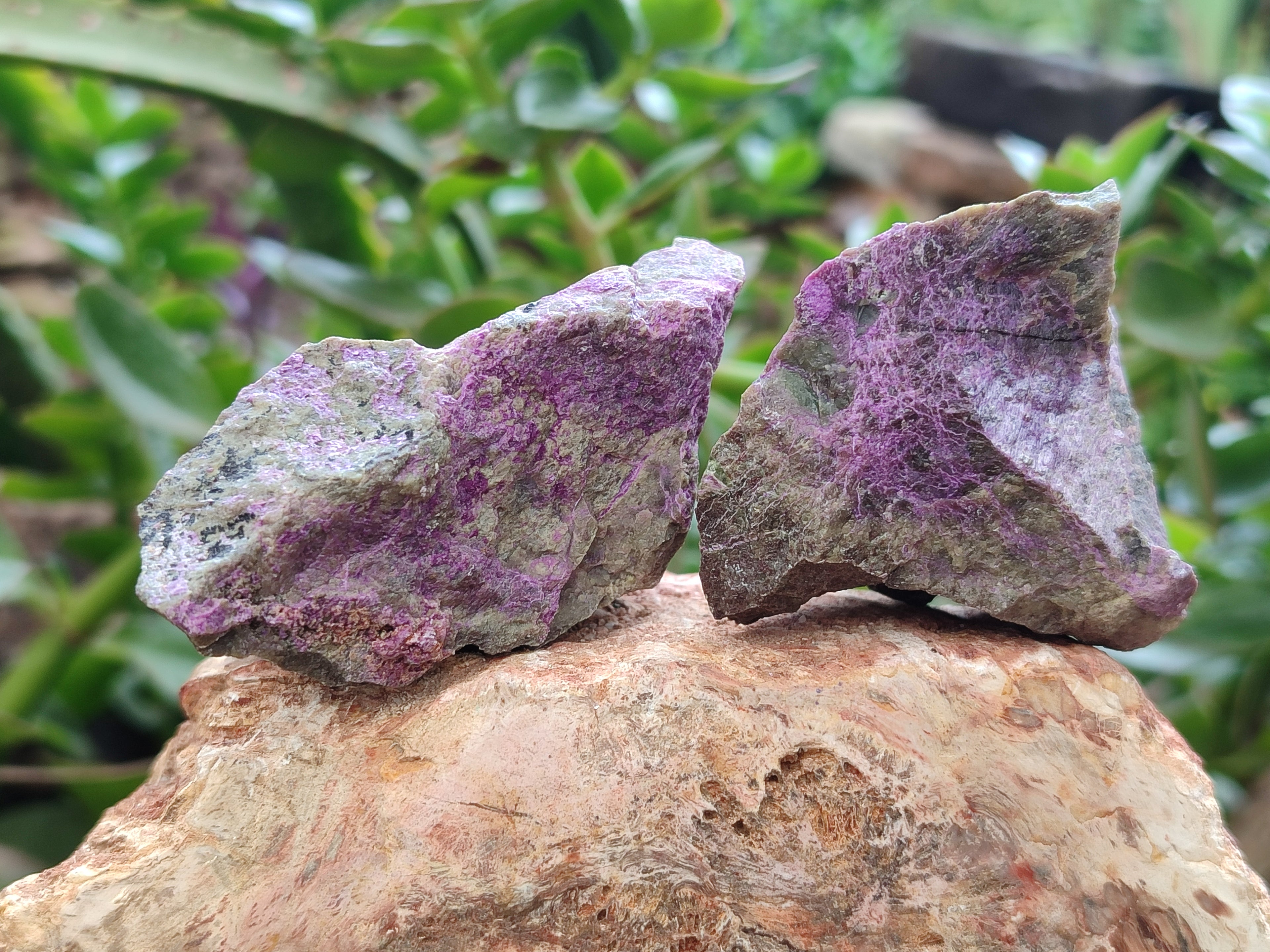 Natural Stichtite Cobbed Specimens x 24 From Barberton, South Africa - Toprock Gemstones and Minerals 