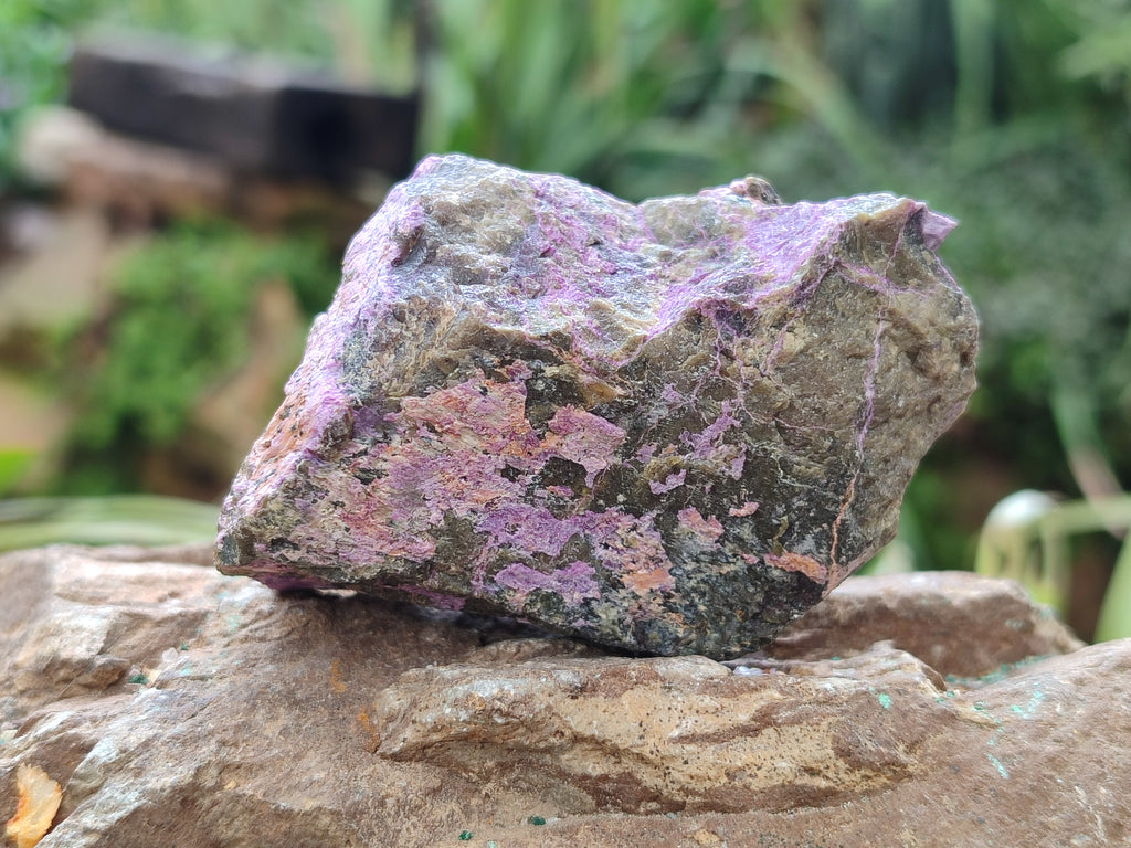 Natural Stichtite Cobbed Specimens x 24 From Barberton, South Africa - Toprock Gemstones and Minerals 