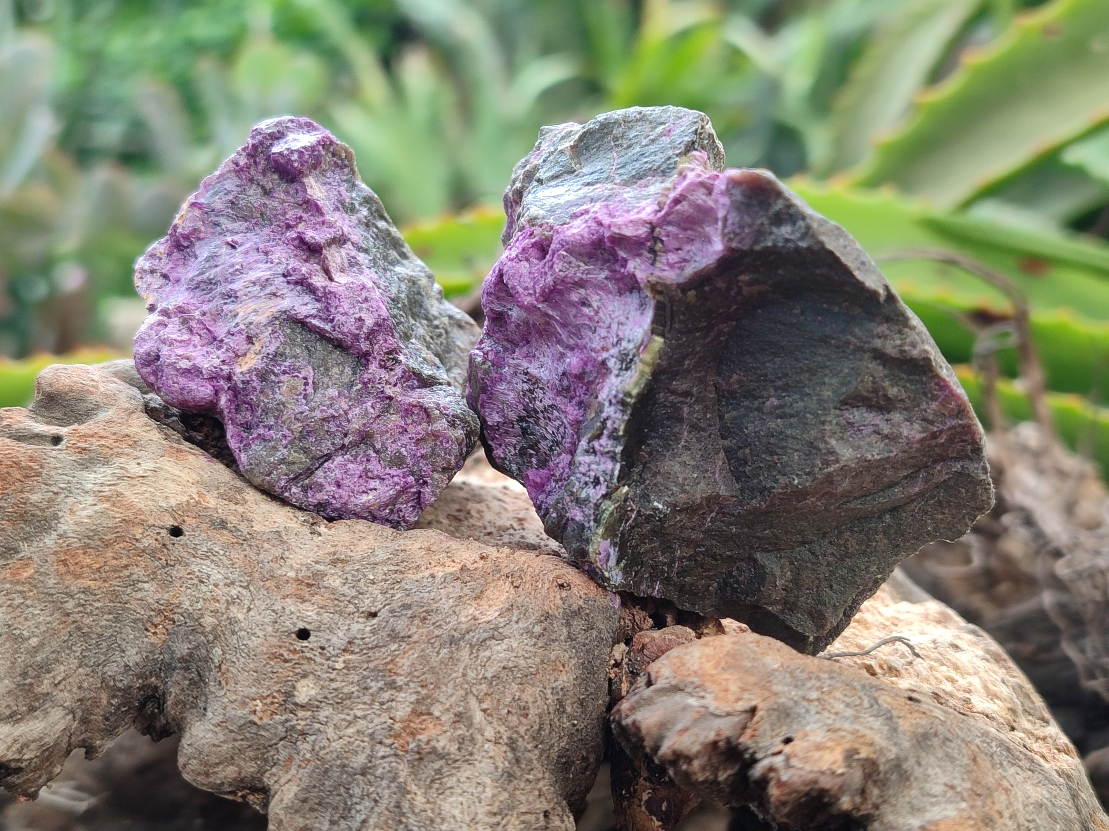 Natural Stichtite Cobbed Specimens x 24 From Barberton, South Africa - Toprock Gemstones and Minerals 