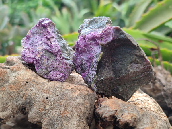 Natural Stichtite Cobbed Specimens x 24 From Barberton, South Africa