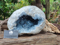 Natural Celestite Geode Specimens x 1 From Sakoany, Madagascar