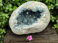 Natural Celestite Geode Specimens x 1 From Sakoany, Madagascar