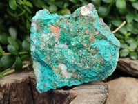 Natural Shattuckite with Chrysocolla & Malachite x 6 From Kaokoveld, Namibia