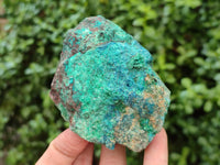Natural Shattuckite with Chrysocolla & Malachite x 6 From Kaokoveld, Namibia